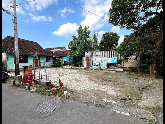 place photo 5