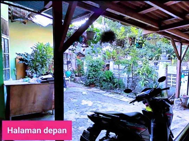 place photo 8