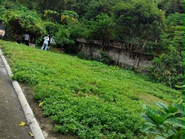 Rush Sale Lot in El Monteverde , Consolacion , Cebu