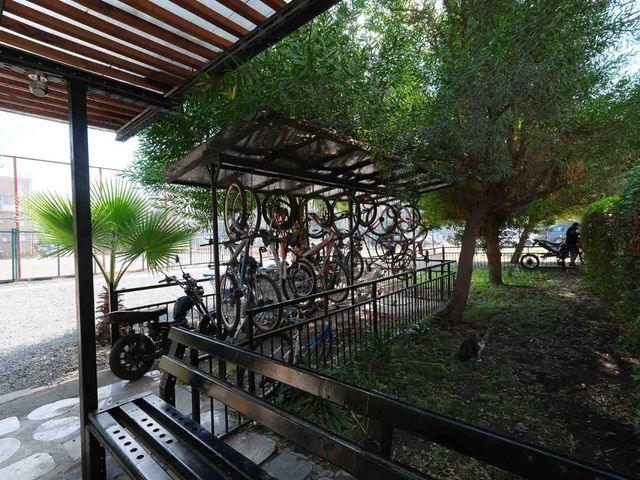 place photo 21