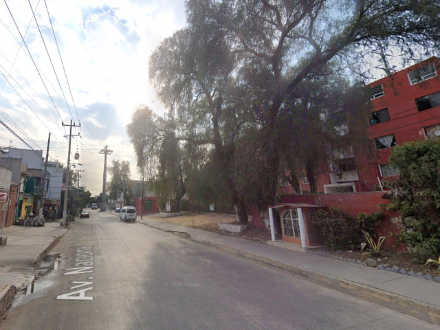 place photo 11