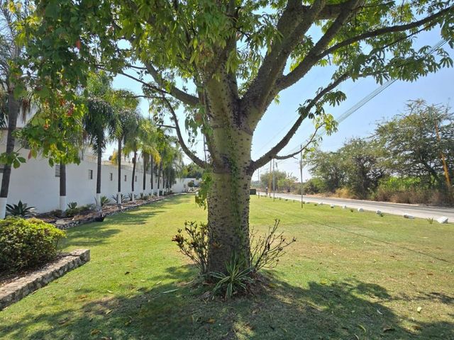 place photo 19