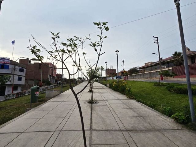 place photo 22