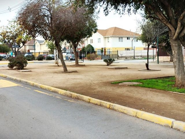 place photo 26