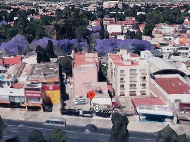place photo 11