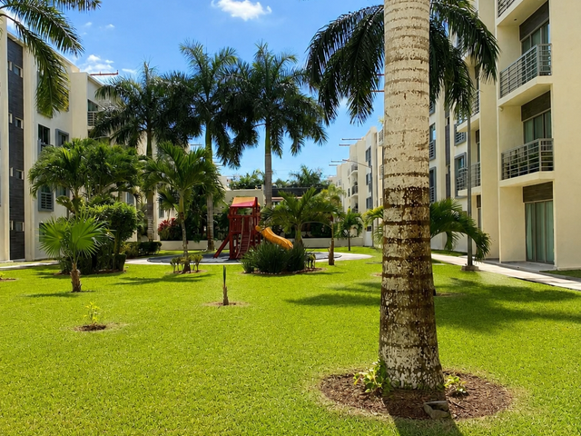 place photo 25