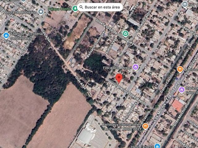place photo 11
