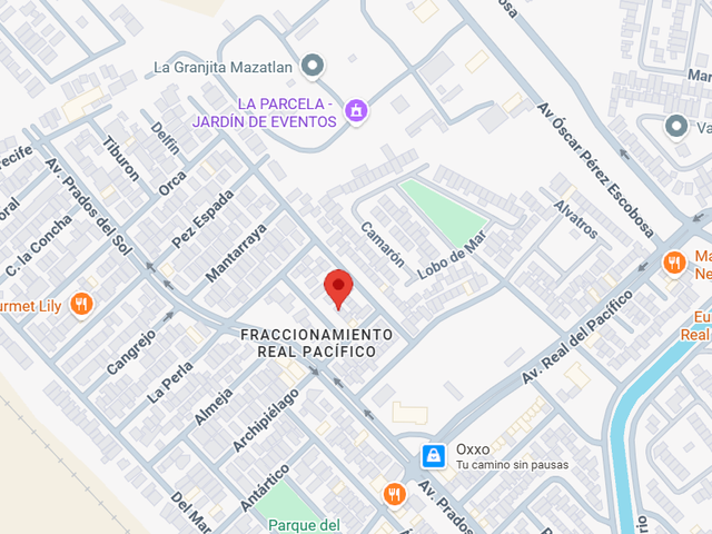 place photo 10