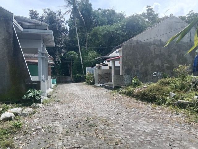 place photo 3