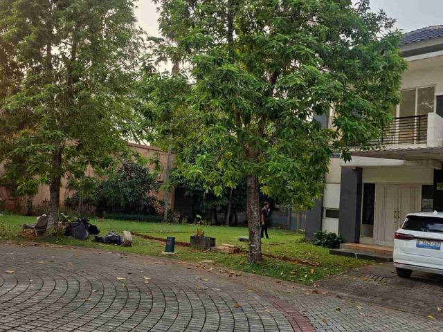 place photo 13