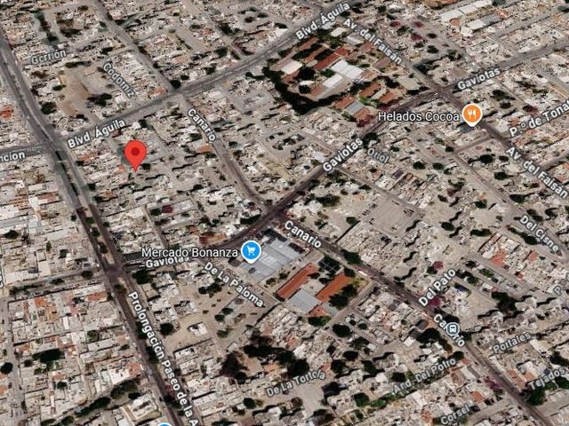 place photo 12
