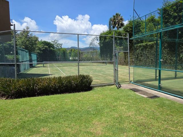 place photo 48
