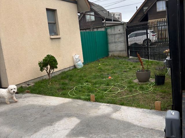 place photo 10