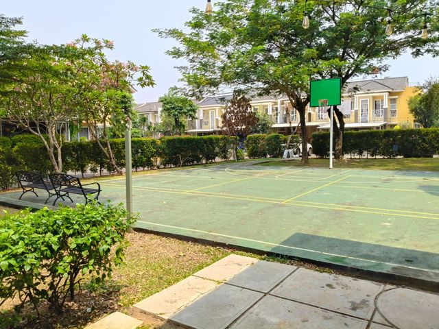place photo 19