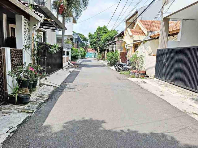 place photo 14