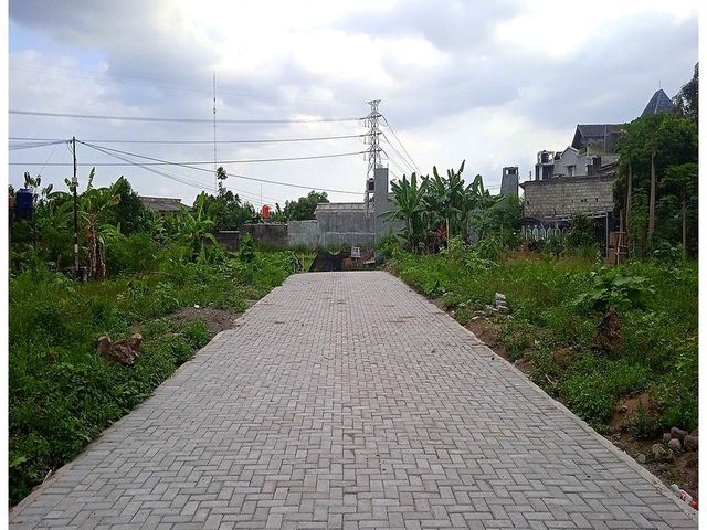 place photo 3