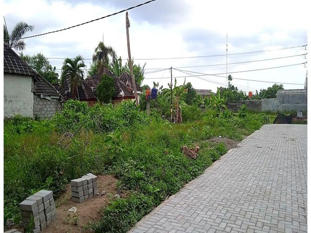 place photo 5