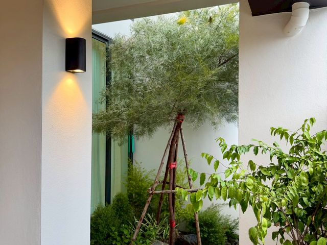 place photo 63
