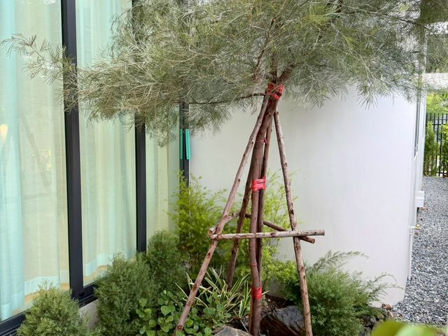place photo 64