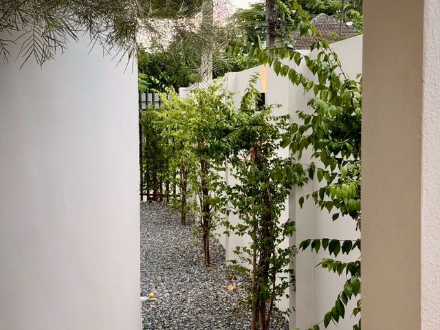 place photo 65