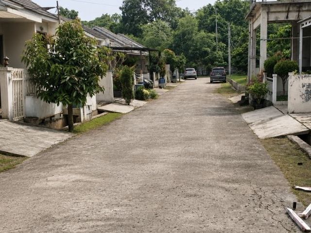 place photo 12
