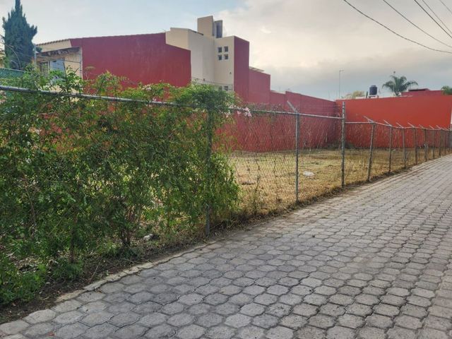 place photo 14