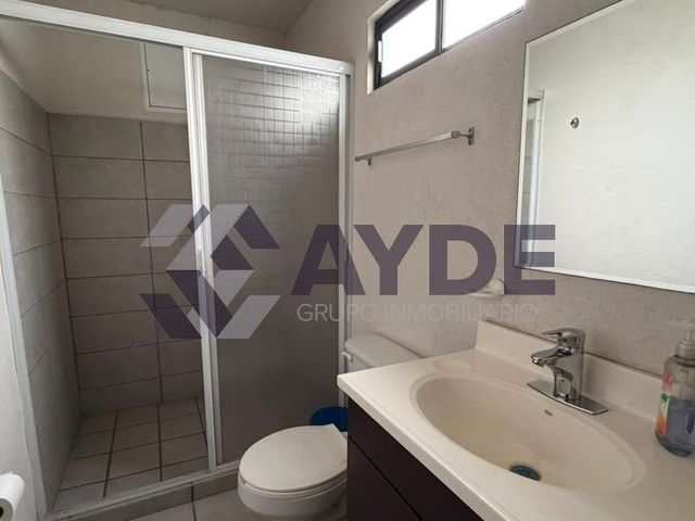 place photo 17