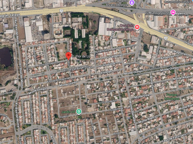 place photo 10
