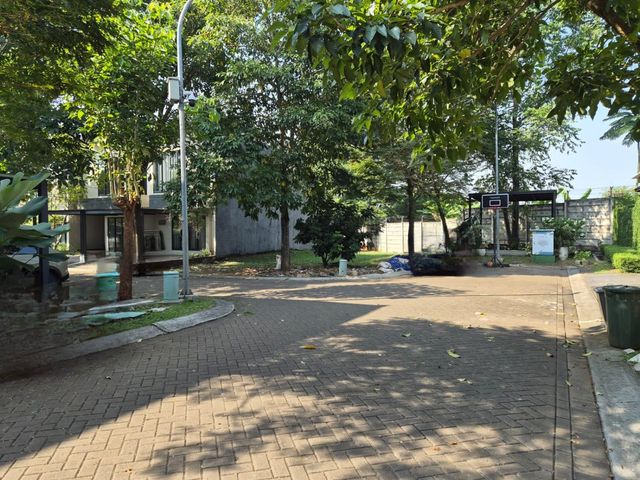 place photo 31