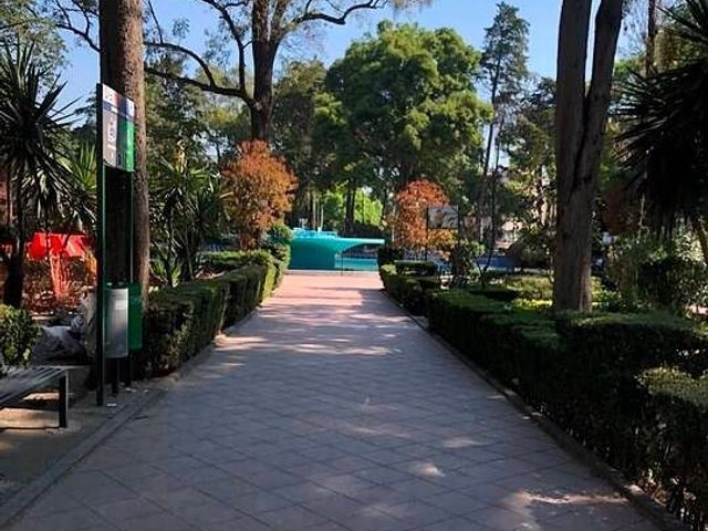 place photo 25