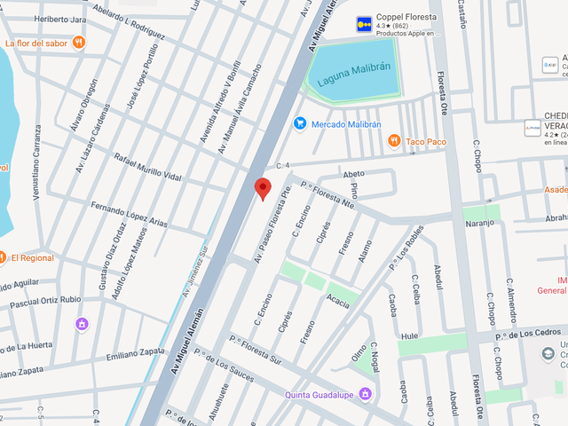 place photo 20