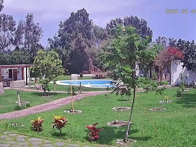 place photo 27
