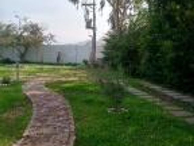 place photo 33