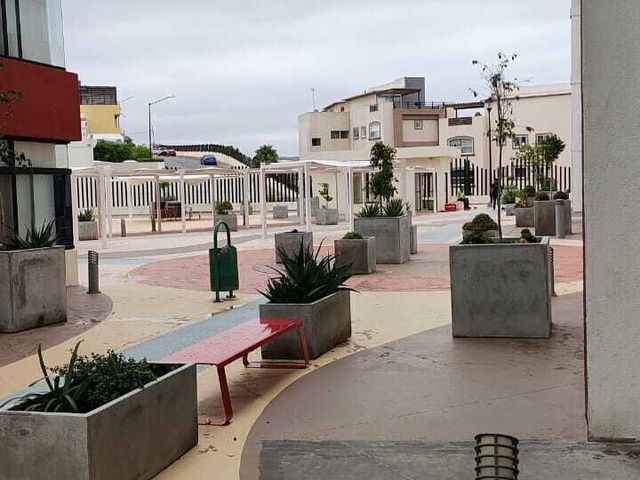 place photo 36