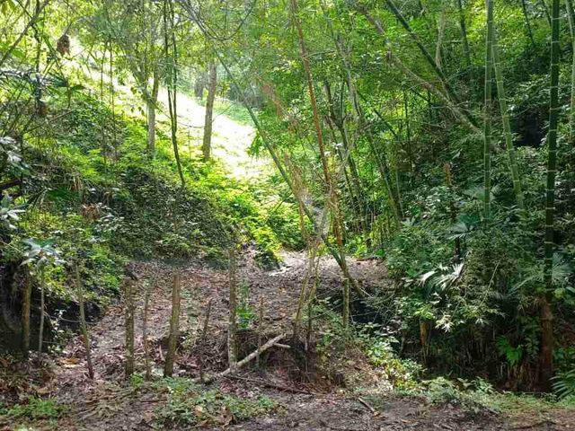 place photo 22