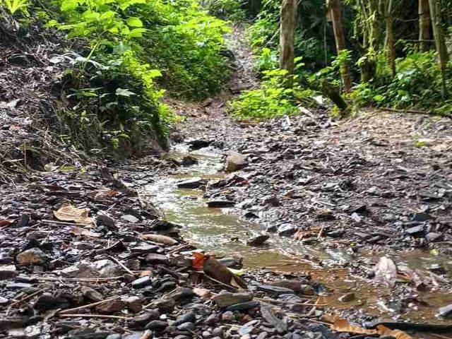 place photo 30