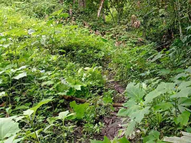 place photo 31