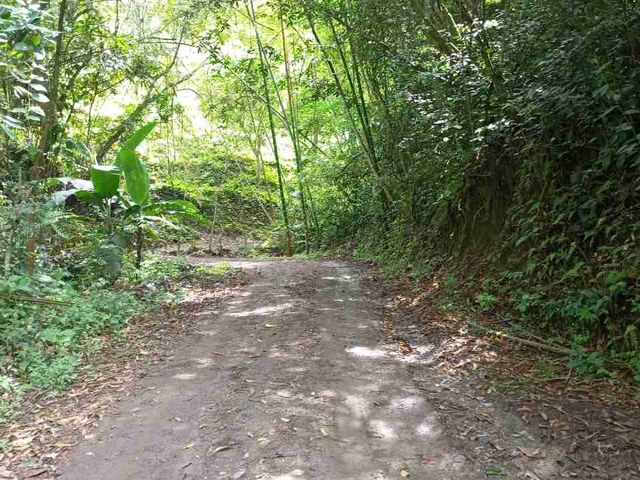 place photo 36