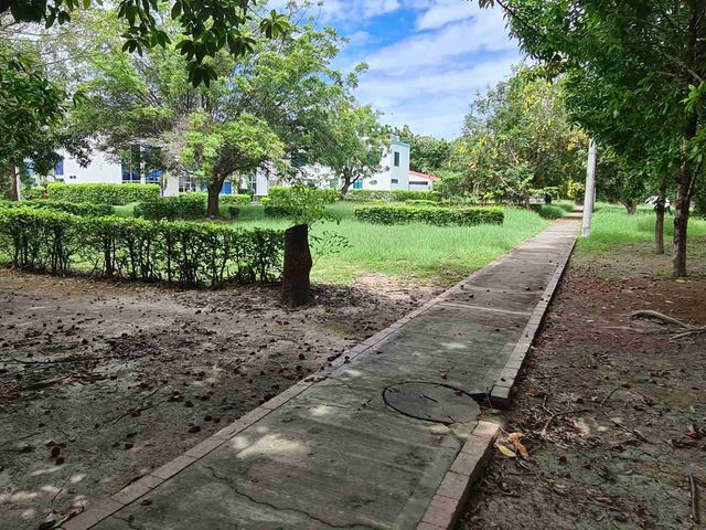 place photo 15