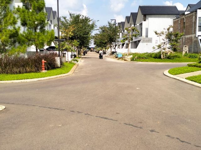 place photo 15