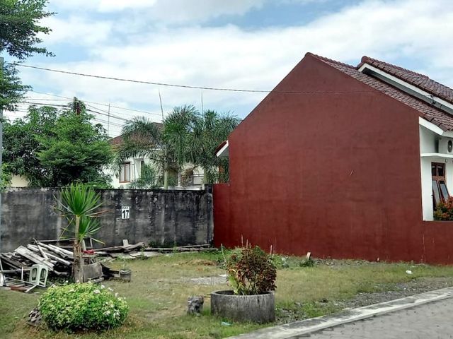 place photo 12