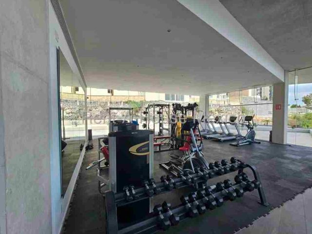 place photo 43
