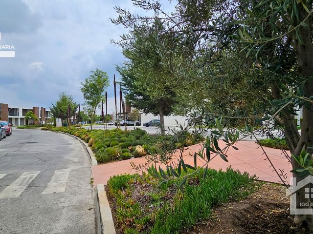 place photo 39