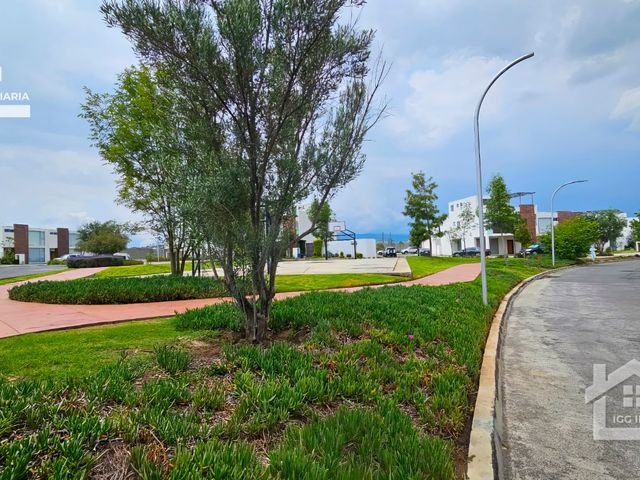 place photo 41