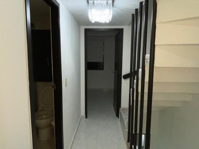 place photo 59