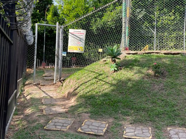 place photo 66