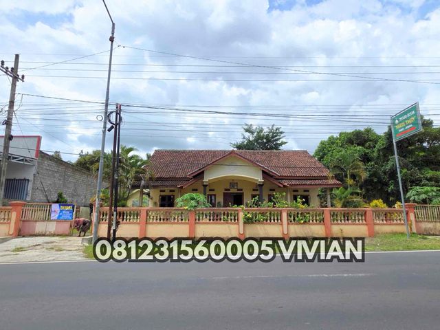 RUMAH LUAS 980 PINGGIR JALAN SERUT PANTI JEMBER