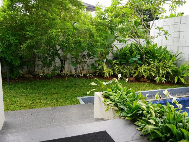 place photo 25