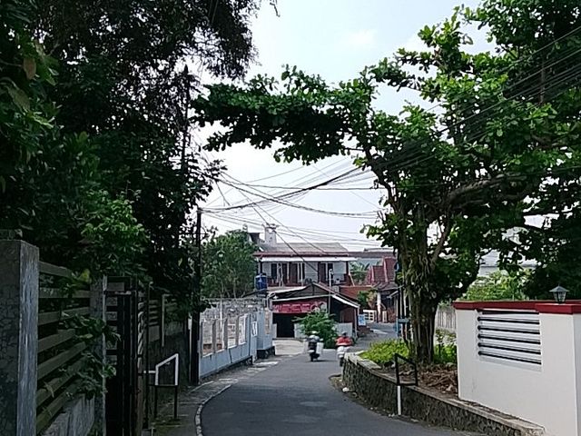 place photo 15