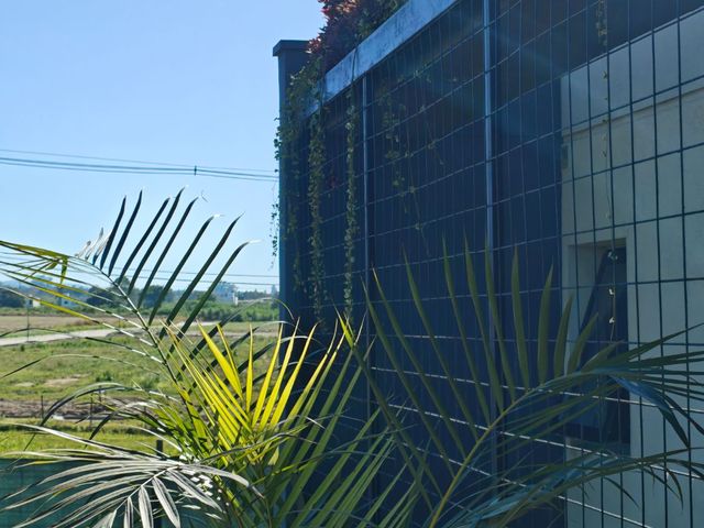 place photo 62